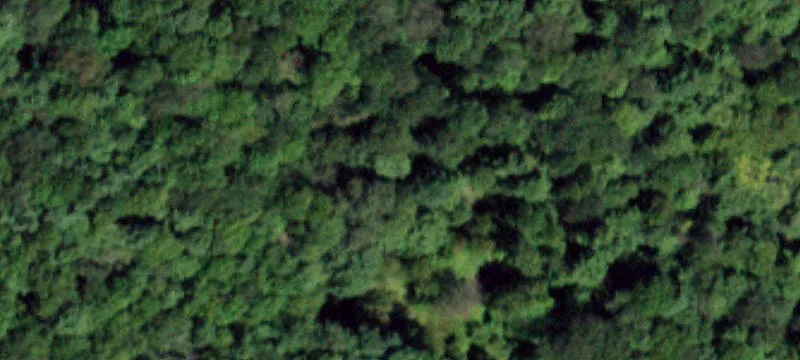 Nn Rd