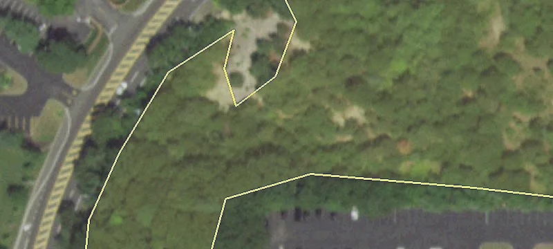 Motor Pkwy