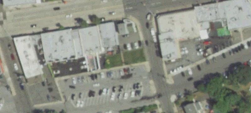 Jackson Ave