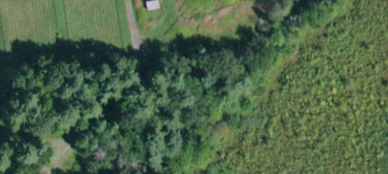 643 County Rte 403