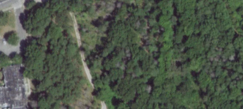 Frowein Rd