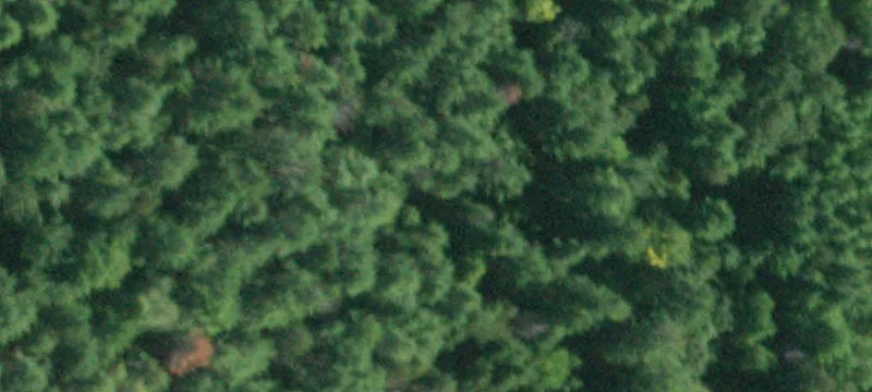 Nn Shr Rd