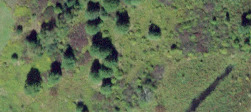 Neelytown Rd Ns