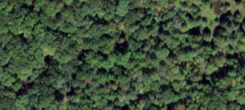 Barron Rd Ws