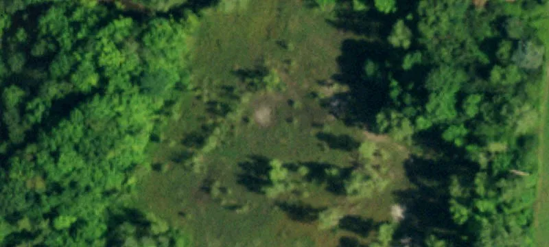 13549 Schutt Rd