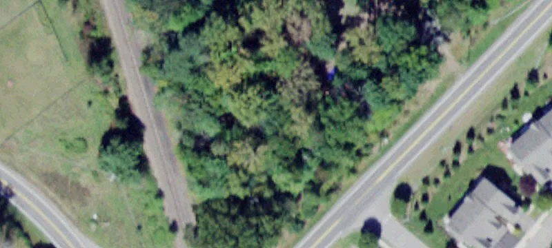 Maples Rd