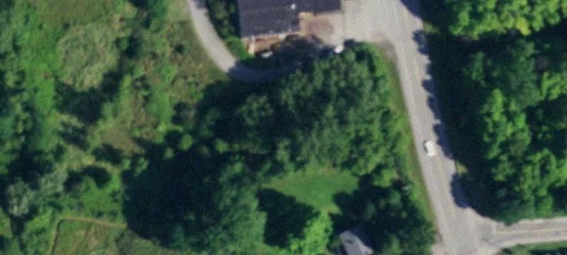 Olean Rd