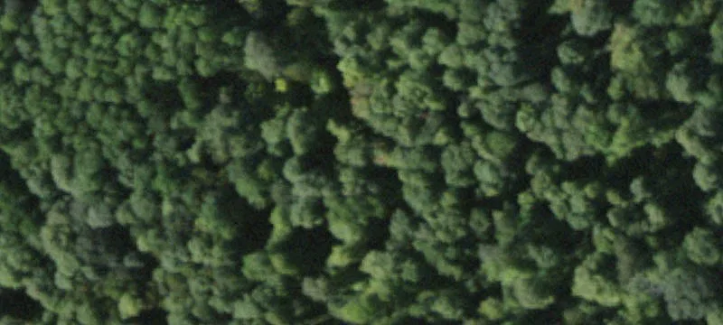 Ctr Rd