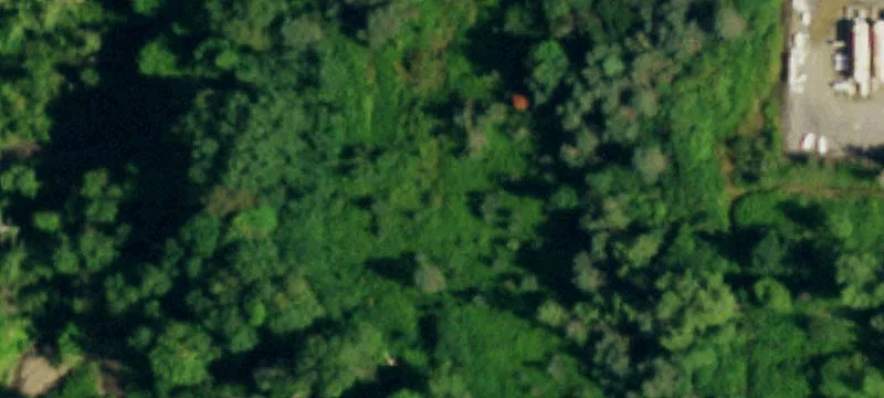 Nys Rte 16