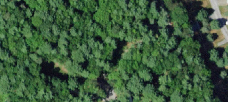 131 Burke Hl Rd