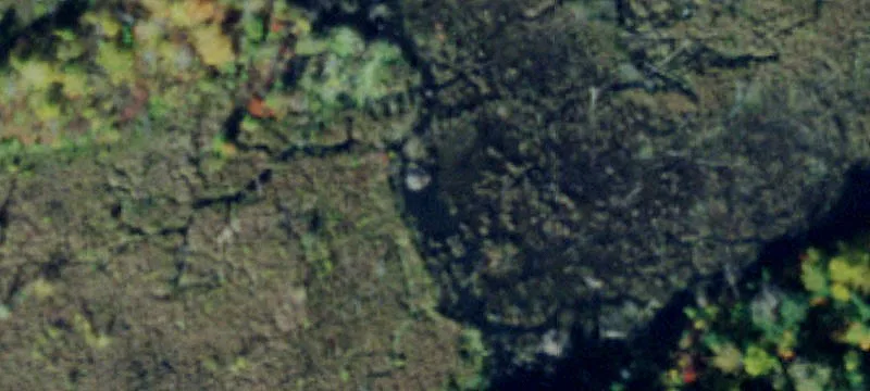 Gouverneur, NY 13642
