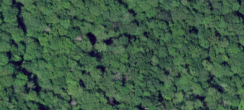 227 Buck Hl Rd