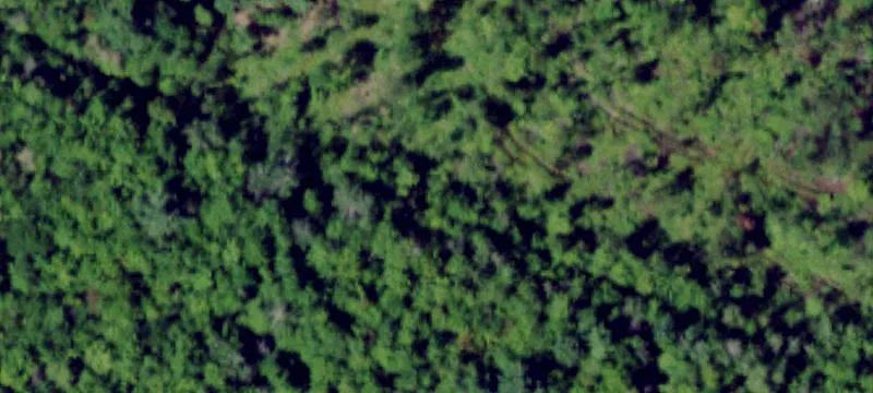 Of Nys Rte 411
