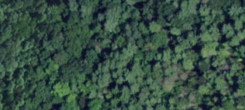 Provincial Path Lot