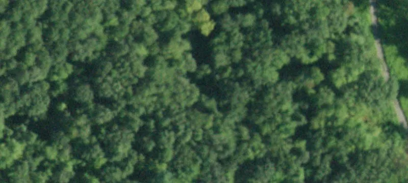 Rte 50