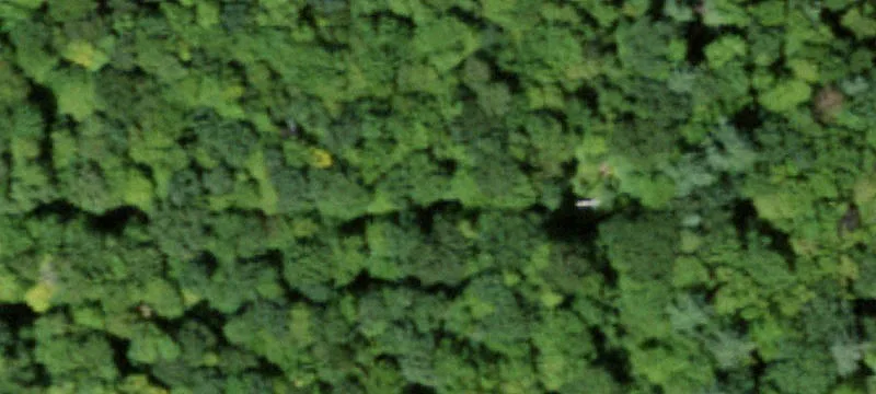 Neff Hl Rd