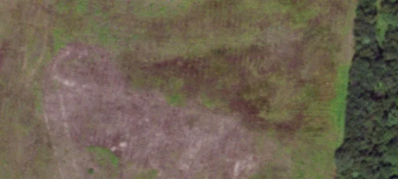 Williamstown, NY 13493