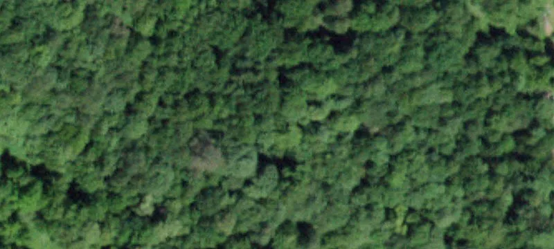Andes, NY 13731