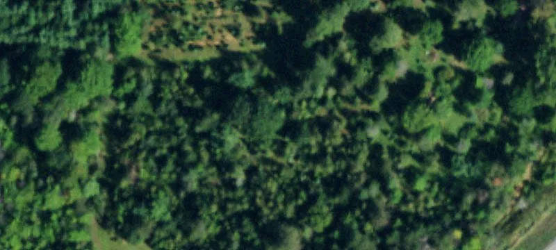 Schultz Rd