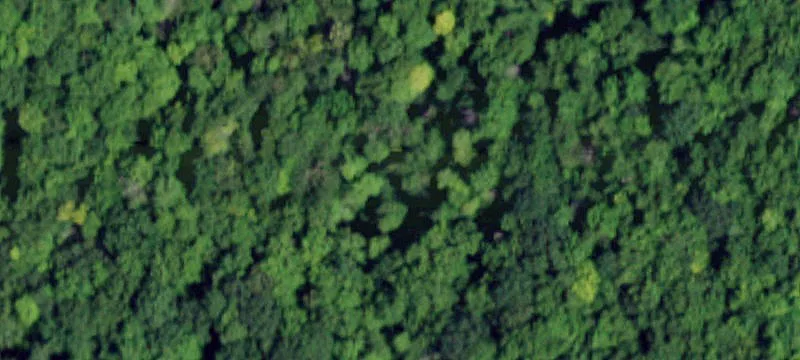 Petersburg, NY 12138