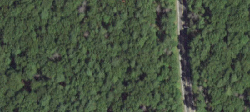 Mnr Yaphank Rd