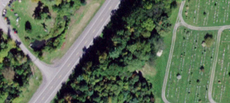 Elmira Rd