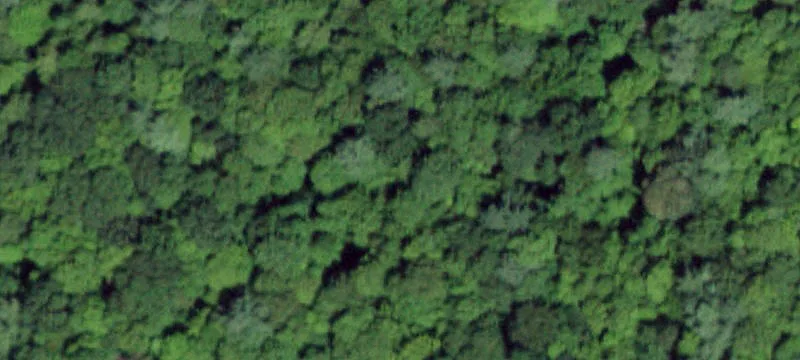 Us 20