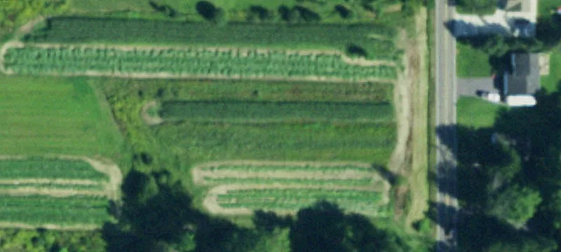 Schultz Rd