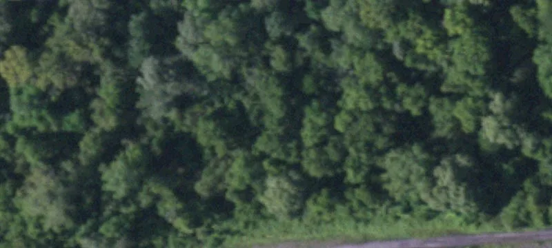 Canastota, NY 13032