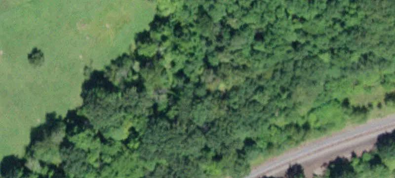 Weller Rd