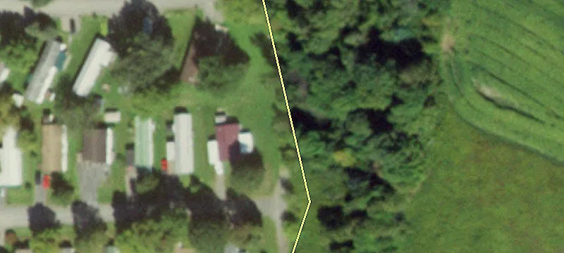 Cayuga St