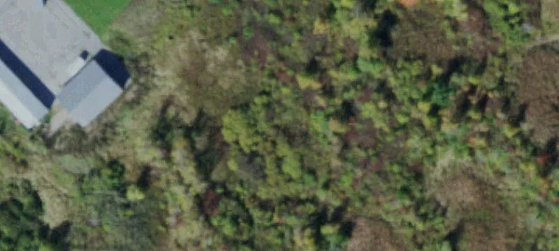 Nys Rte 12