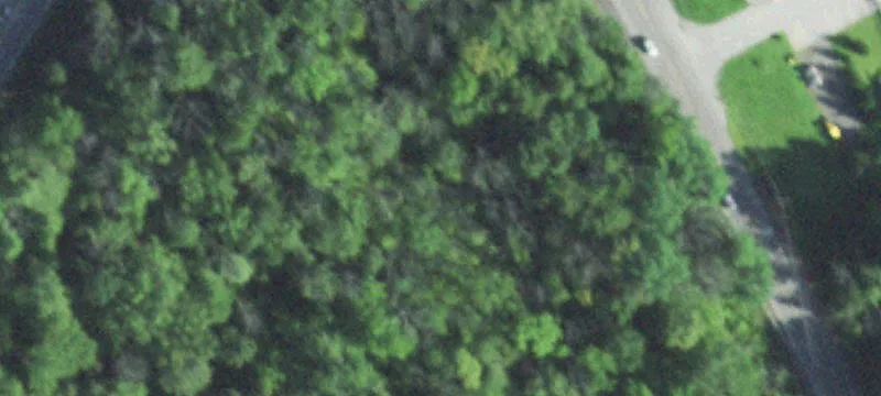 Rte 9g