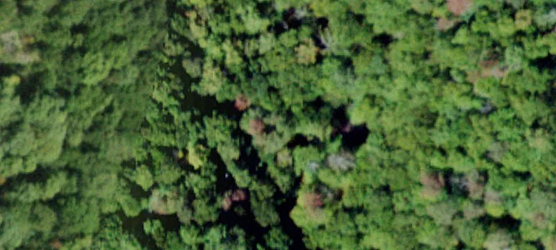 2000 Frost Vly Rd