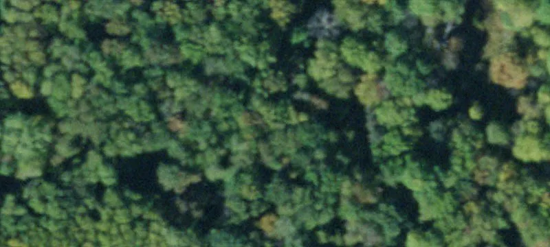State Rte 302