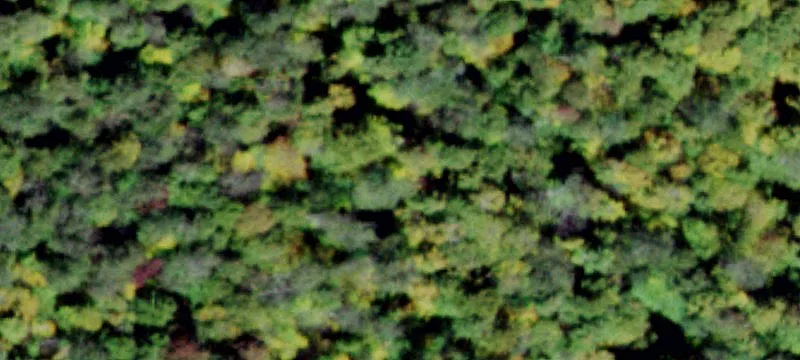 2000 Frost Vly Rd