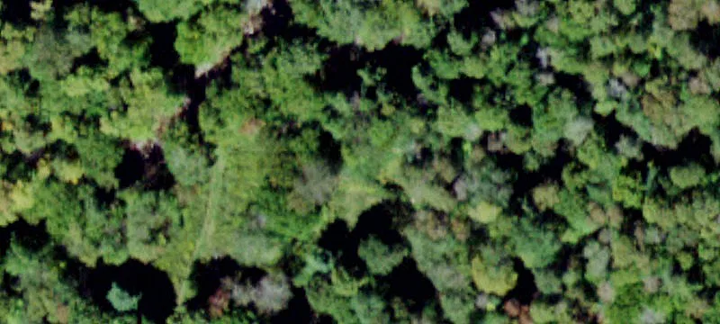 2000 Frost Vly Rd