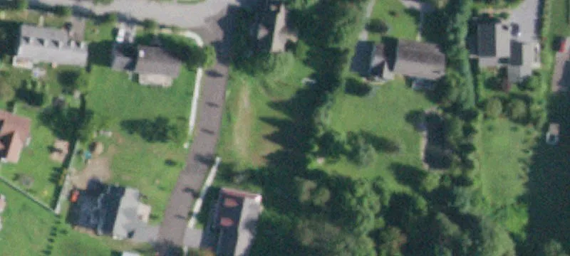 Will Tremper Dr