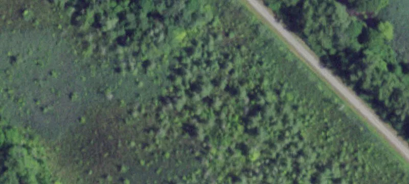 State Rte 251