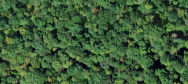 Wolf Lk Rd