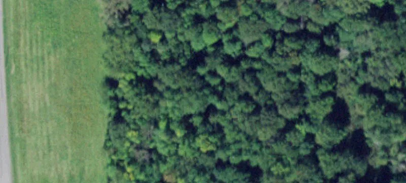 Nn Rd