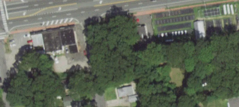 Tyler Ave