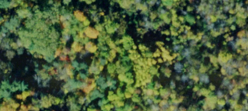 Black Lk Rd