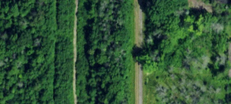 Balmer Rd