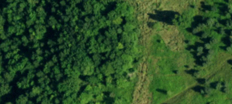 Nys Rte 16