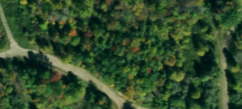 Olean, NY 14760