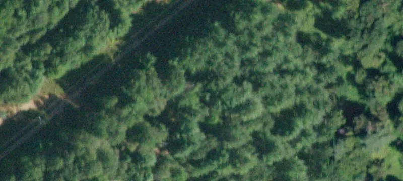 1021 County Hwy 123