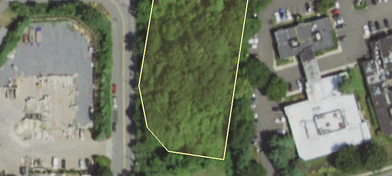 Shelly Dr