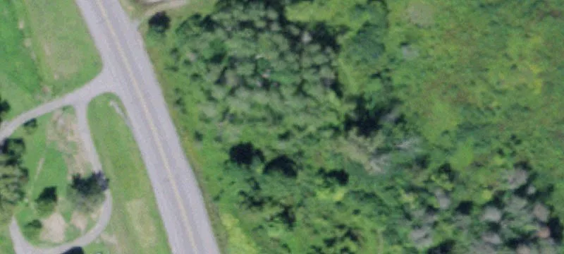 Nys Rt 233