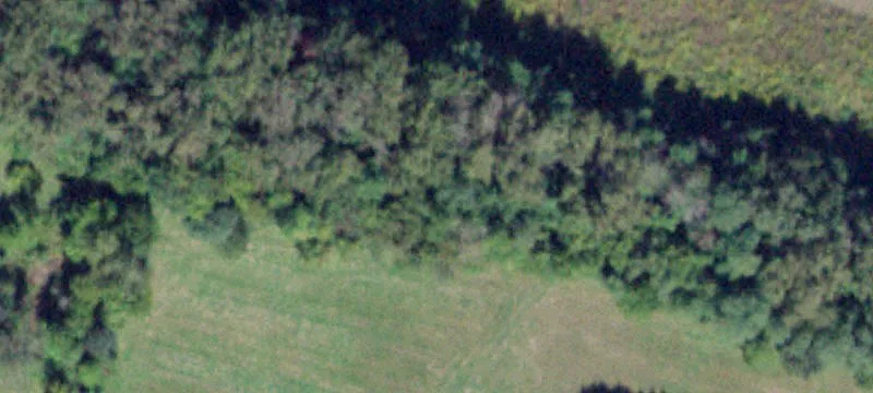 Loop Rd